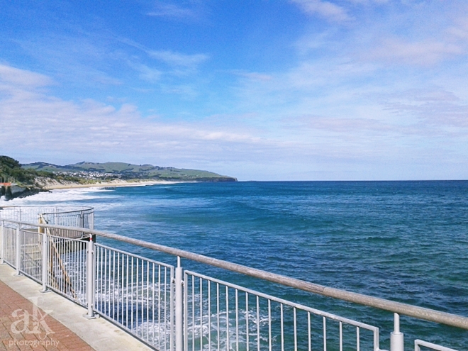 View of the ocean from Dunedin. Visit Dunedin on This Splendid Shambles.