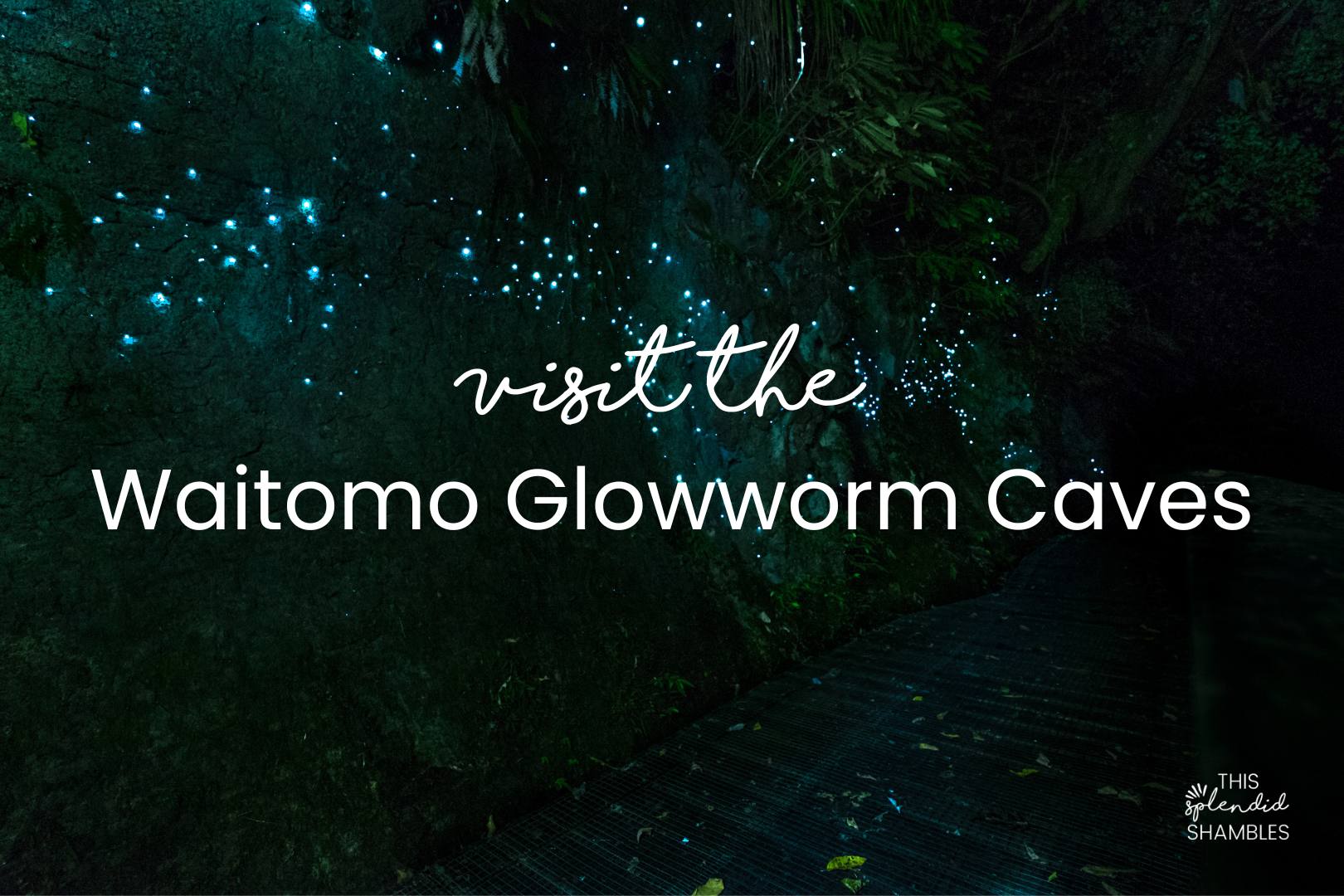 Dark image of the Waitomo Glowworm Caves New Zealand.