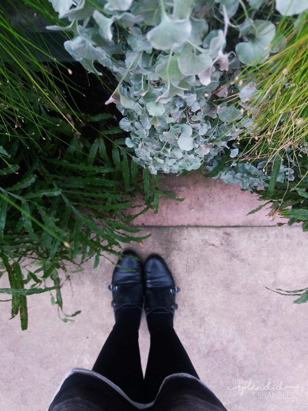Top down to feet standing in the Auckland Wintergardens