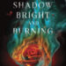 a shadow bright and burning by Jessica Cluess book cover