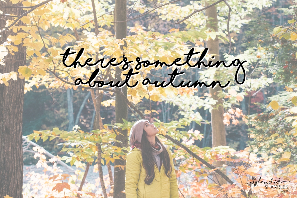 theres something about autumn