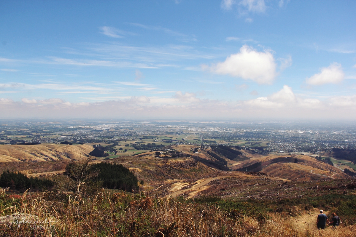 christchurch adventure park 2