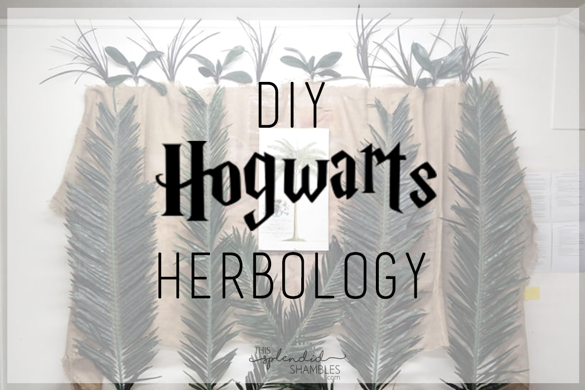 Harry Potter™ Herbology Organic Sheet Set | Pottery Barn Kids AU
