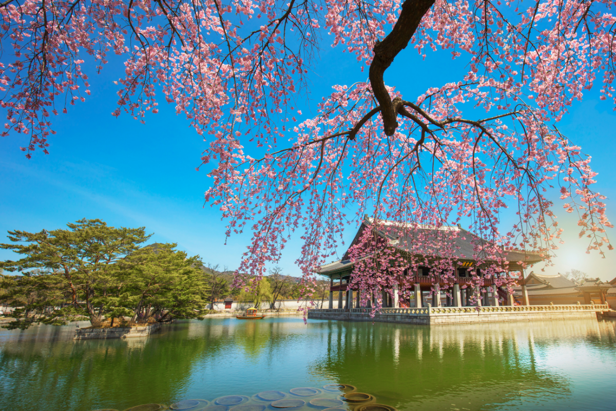 City Guide - Seoul South Korea - Gyeongbokgung Palace