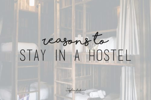 Bunk beds in a Bali hostel. 'reasons to stay in a hostel' is written over the top. This Splendid Shambles blog.