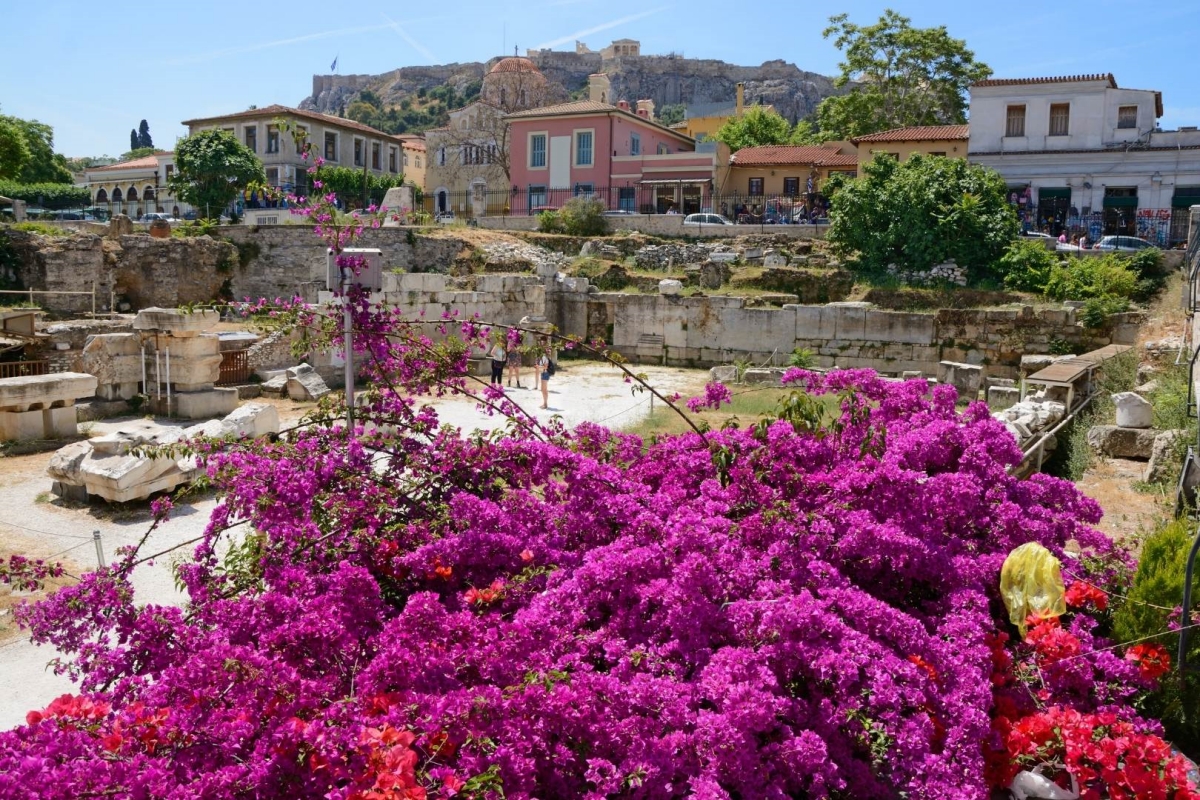 Purple flowers in the foreground, with an Athens cemetery in the background. Travelling to Greece on a Budget on This Splendid Shambles.