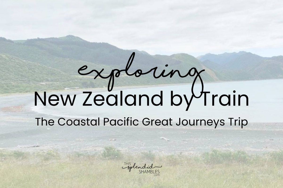 "Exploring New Zealand by Train" written in text over the top of an image of New Zealand's southern east cost.