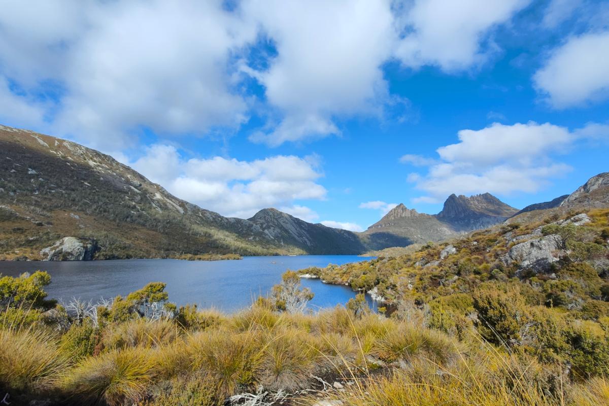 Dove Lake Circuit Walk.