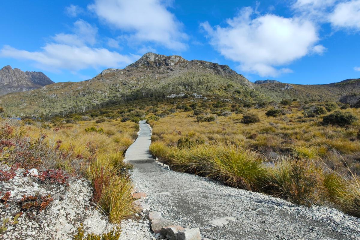 Gravel path leaving into nature at Cradle Mountain, Dove Lake.