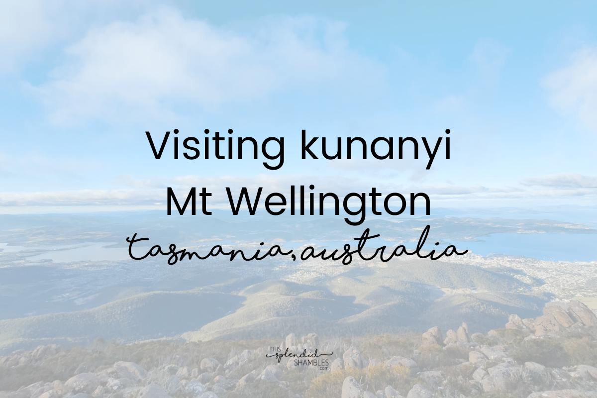 Overlooking Hobart in Tasmania from kunanyi Mt Wellington.