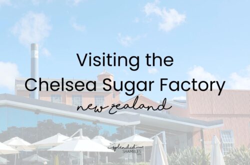 Exterior of the Chelsea Sugar Factory in Auckland, featuring the historic factory buildings, outdoor picnic tables with umbrellas, and a sunny lawn beneath a bright blue sky. 'Visiting the Chelsea Sugar Factory' written on top.